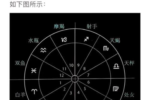 占星盘和紫薇斗数 占星盘和紫薇斗数
