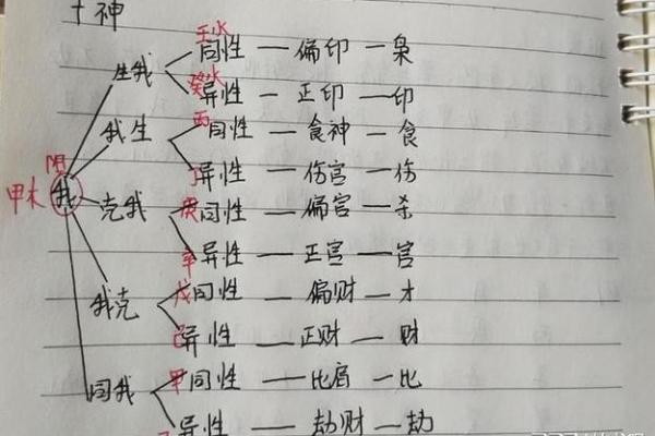八字食神什么意思 八字食神什么意思