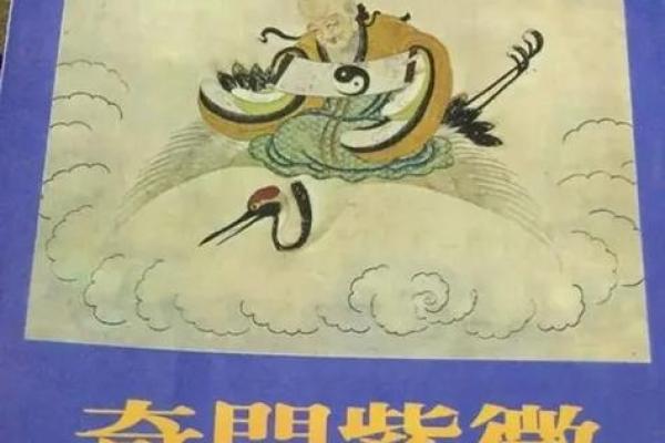 紫云紫薇斗数视频