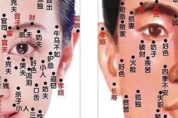 痣相风水脸上哪个部位的痣不能点是为什么 痣相风水脸上哪个部位的痣不能点是为什么