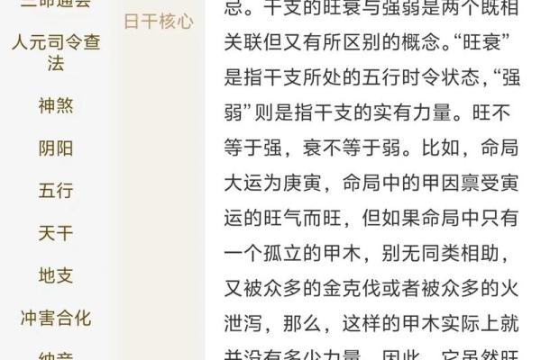 八字命理:哪些人在12月运势会变强 八字命理:哪些人在12月运势会变强