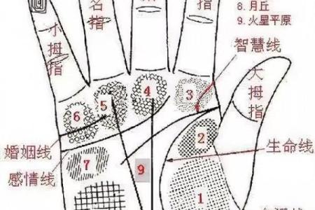手纹算命图解【高清】