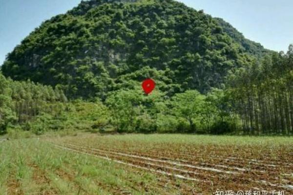 如何判断身上有仙骨的征兆风水 如何判断身上有仙骨的征兆风水