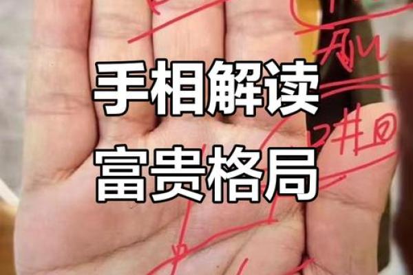 看手相算命大师免费下载 看手相算命大师免费下载
