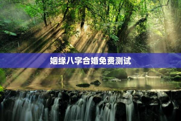 八字合婚在线测试免费 八字合婚在线测试免费