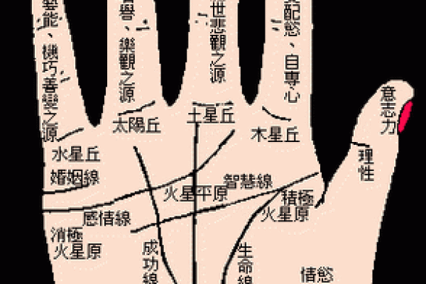 凯帝阿手相算命图解大全01 凯帝阿手相算命图解大全01