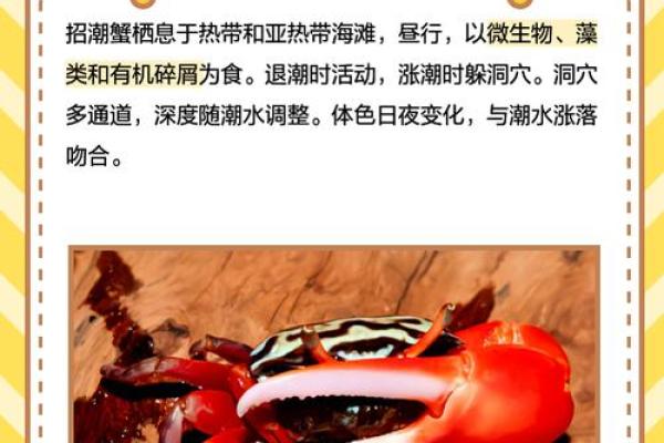 螃蟹地风水形了解这种风水形带来的影响及解决方法 螃蟹地风水形了解这种风水形带来的影响及解决方法