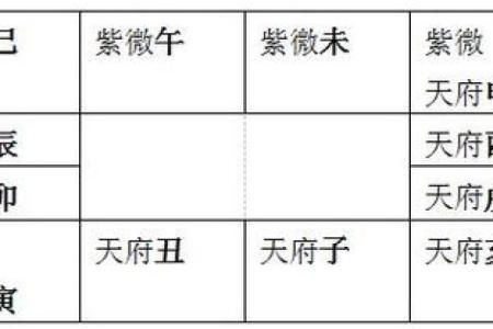 雪天紫薇斗数排盘软件