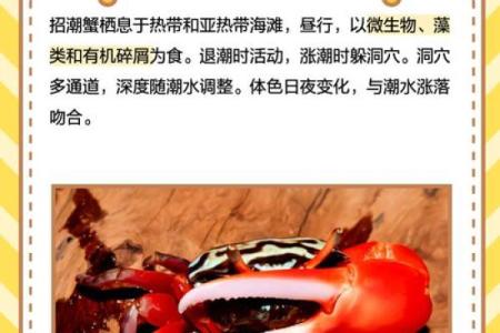 螃蟹地风水形了解这种风水形带来的影响及解决方法