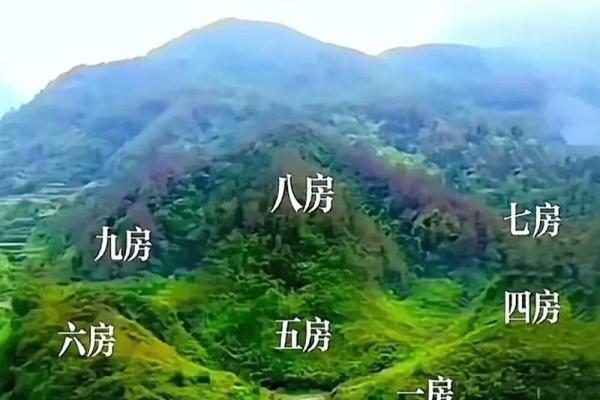 池塘填埋造房子风水 池塘填埋造房子风水