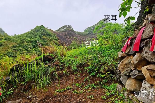 石山风水宝地建房子 石山风水宝地建房子