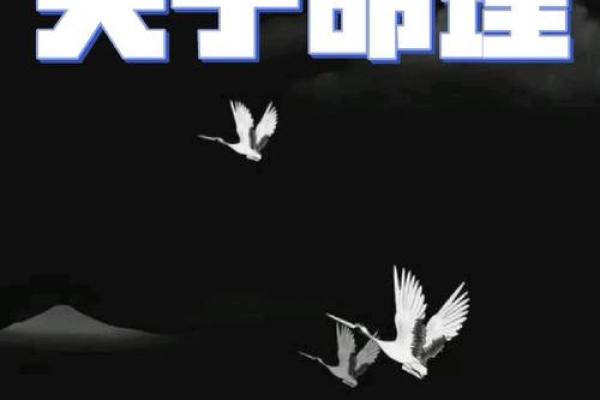 算命中的学问 算命中的学问