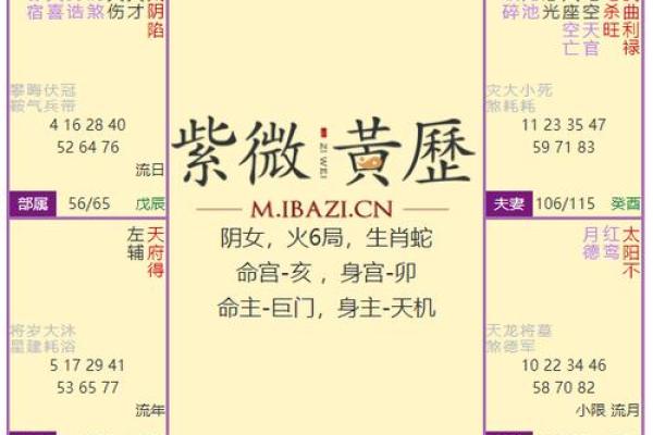 紫薇斗数看公职