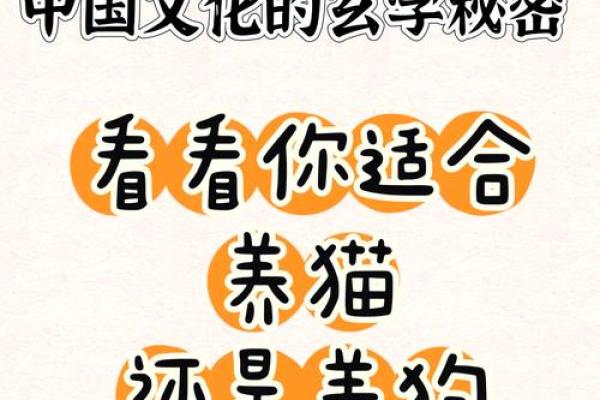 风水上哪几个生肖的人不能养猫禁忌