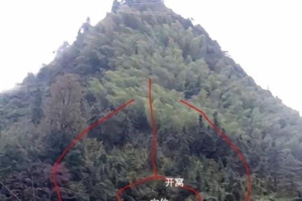 满足风水好的墓地几大标准是什么