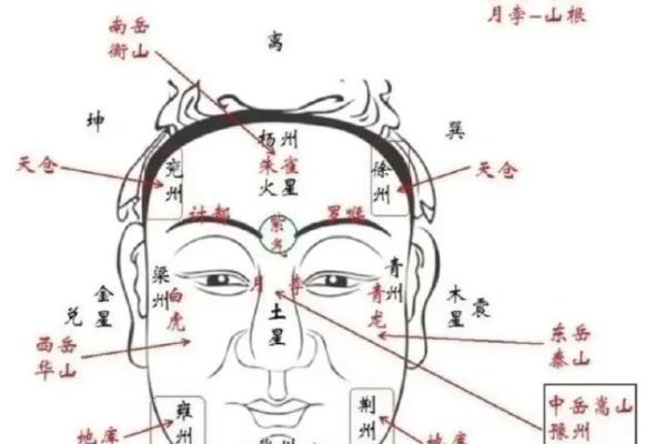 你的五官里,藏着你一生的风水 你的五官里,藏着你一生的风水