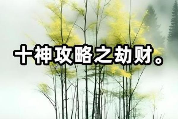 八字算命劫财 八字算命劫财