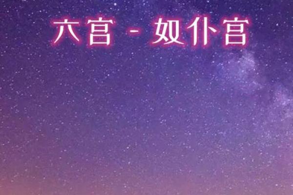 紫薇斗数仆役宫 紫薇斗数仆役宫