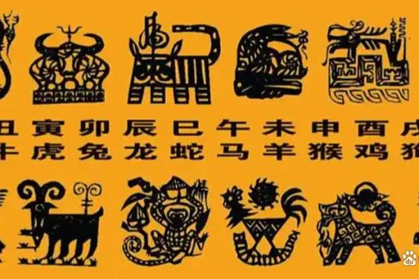 生肖八字