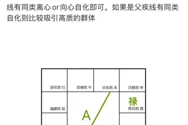 紫薇斗数看网红粉丝