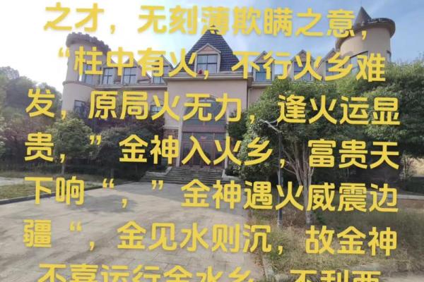 什么八字可以当导演 导演适合什么八字