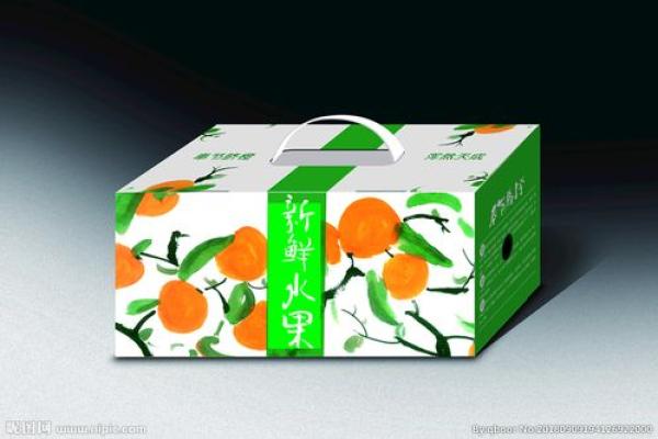 包装纸箱房子风水设计门口