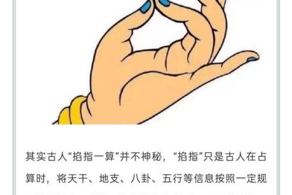 白鹤神数量指算命 白鹤神数量指算命