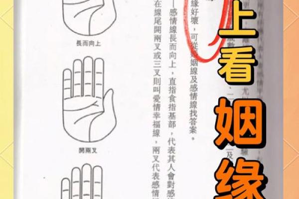 女生八字姻缘算命 女人八字看婚姻状况? 女生八字姻缘算命 女人八字看婚姻状况?