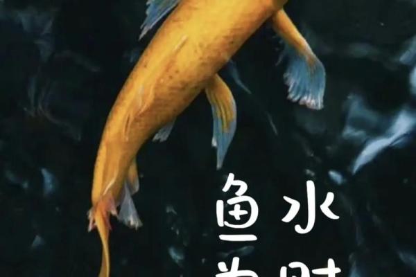 八字水为财 八字水为财