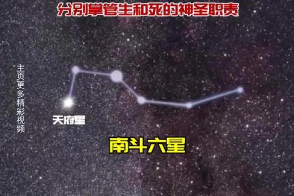 北斗星和紫薇星的区别 北斗星和紫薇星的区别