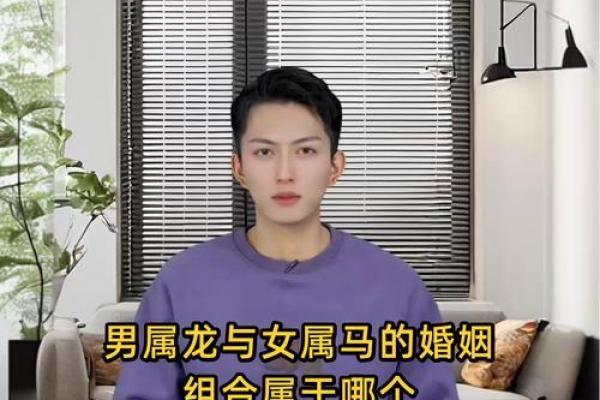 老公属马,老婆属龙,住几层的楼房风水更好？