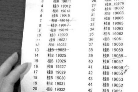 测试汽车牌照吉凶方法查询