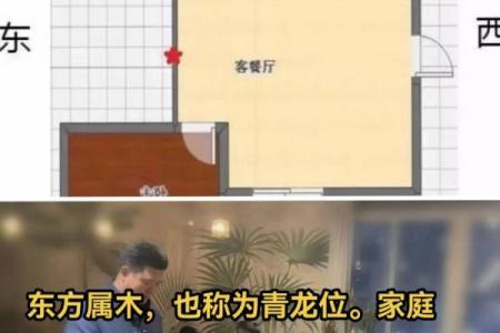 老公属马,老婆属龙,住几层的楼房风水更好？