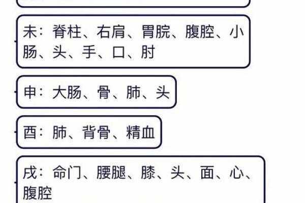 八字身旺财官现