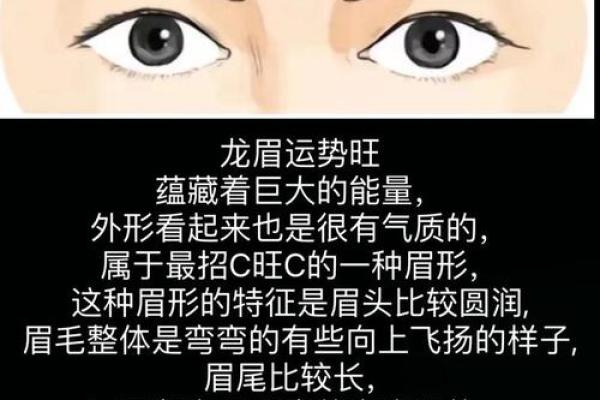 面相为什么断眉是富贵之相风水解答