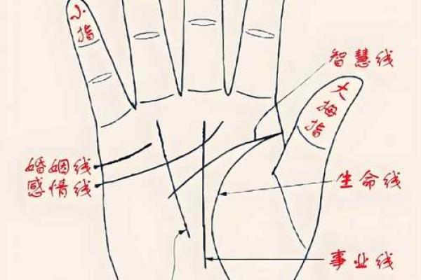 男人断掌手相算命,男人掌纹图解算命