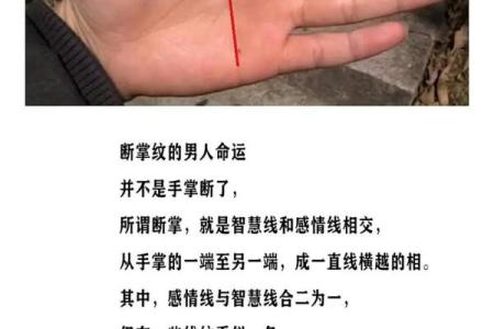 手相假断掌算命图解