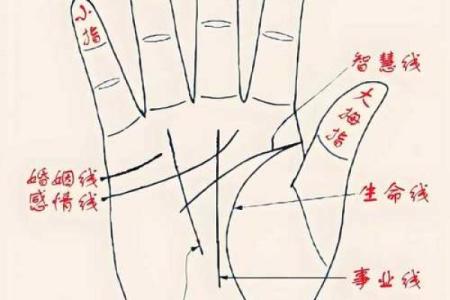 男人断掌手相算命,男人掌纹图解算命
