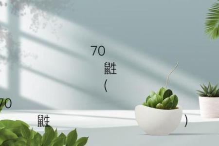 月老灵签82抽签