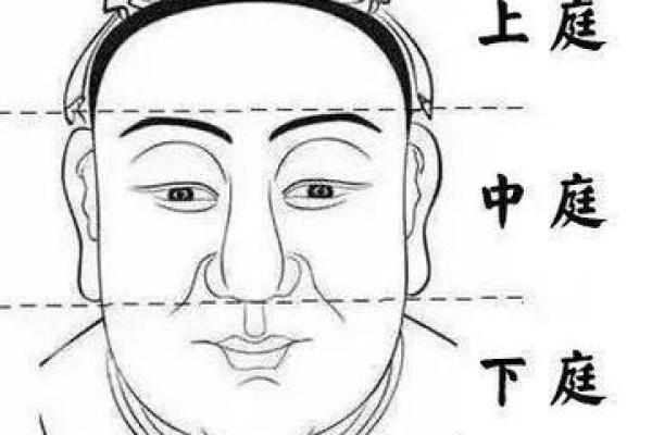 面相算命入门什么是三停 面相基础知识