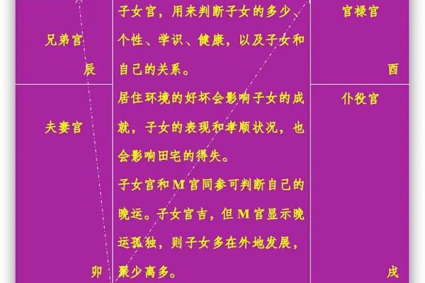 紫微斗数继父 紫微斗数看父母再婚? 紫微斗数继父 紫微斗数看父母再婚?