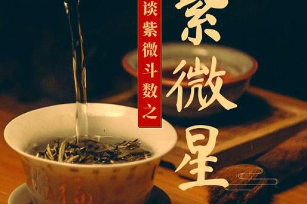 帝星紫薇星的寓意和象征是什么意思 帝星紫薇星的寓意和象征是什么意思