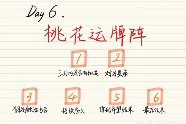 塔罗测试：二月事业运？