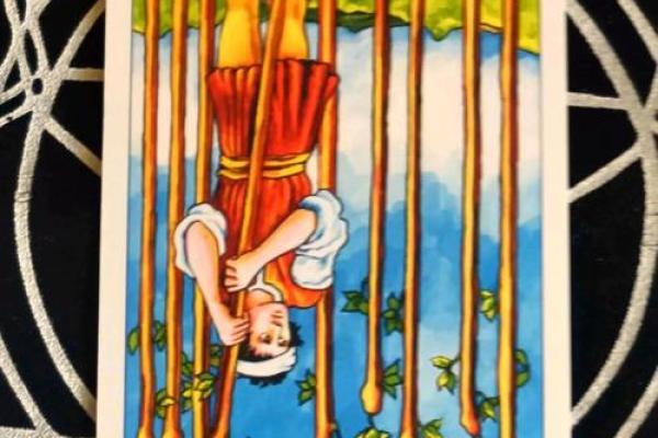 塔罗测试：二月事业运？