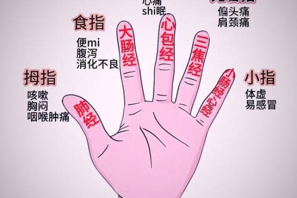 五指山算命哪里准