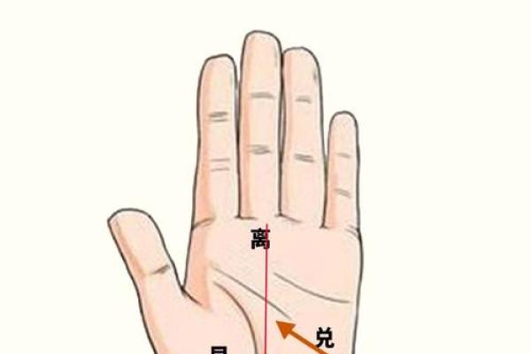 看手相算命：第四课 论事业命运