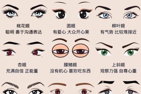 眉毛很浅在面相算命中是怎么说