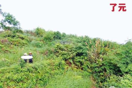 阴宅坟墓风水铁口直断直指要害