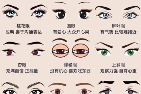 眉毛很浅在面相算命中是怎么说