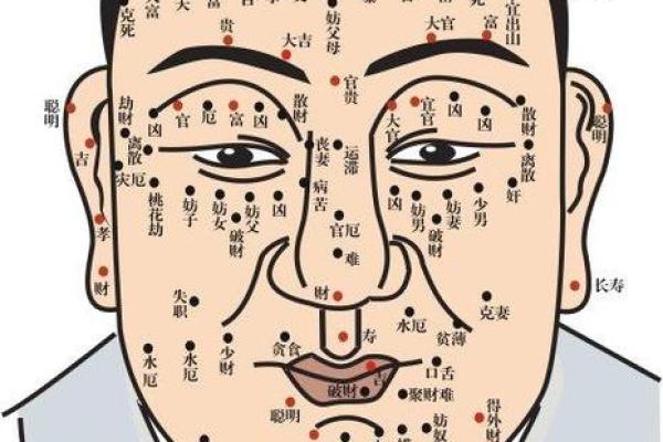 胸部痣相图解算命
